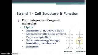 Biology EOC Review  Strand 1  Cell Structure amp Function [upl. by Dennison]