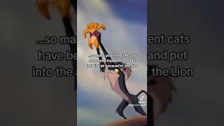 fyp fypfunny lionking cat exploit poorcat haha dumb Disney truth laugh dumbpost viral [upl. by Alcot168]