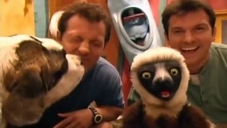 Zoboomafoo Cap 07 quotAmigos Pegajososquot [upl. by Traci]