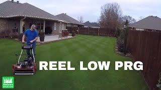 Reel Low Perennial Ryegrass  Dec 20 2017 [upl. by Rehpotsirhk]