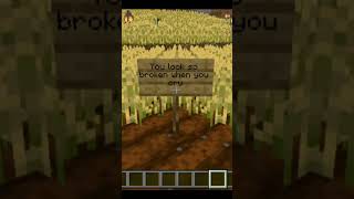 Heat waves lyrics but its minecraftmusic [upl. by Alisa]