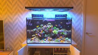 Red Sea Reefer 250  Mixed Reef  Overview and Equipment Part 1 [upl. by Rahmann]