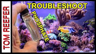 Reef Tank  TROUBLESHOOTING YOUR PHOSPHATE  To Low To High TIPS [upl. by Brote916]