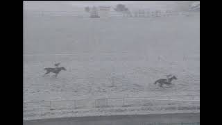 HORSE RACING AT LEOPARDSTOWN ABANDONED DUE TO HEAVY SNOW  RTE TELEVISION FEBRUARY 1990 IRELAND [upl. by Wilfred]