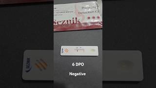 TTC 1  6 DPO  Pregnancy kit  HCG test  Negative  14 Sept 2024  Baby Bump [upl. by Seyer40]