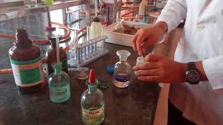 Test for Chloride ion in Lab by Seema Makhijani [upl. by Ssirk]