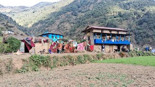 nepal village culture ll mountain village lifestyle ll unseenruralvillage ll himalayan village life [upl. by Kore]