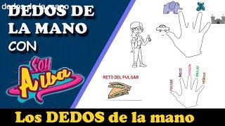 Nombres de los 5 DEDOS de la MANO ✋ 𝕻𝖚𝖑𝖌𝖆𝖗 𝖎𝖓𝖉𝖎𝖈𝖊 𝖈𝖔𝖗𝖆𝖟ó𝖓 𝖆𝖓𝖚𝖑𝖆𝖗 𝖒𝖊ñ𝖎𝖖𝖚𝖊 [upl. by Ameekahs670]