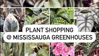 Plant Shopping  Mississauga Greenhouses vlogmas [upl. by Akemhs]