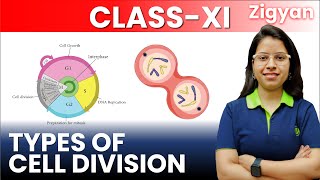 Cell cycle and cell division  Lecture  3  Types of cell division  Mitosis  Meiosis  NEET [upl. by Merwin]