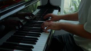 John Williams  Schindlers List Theme arranged for piano by Kyle Landry [upl. by Alexandros784]