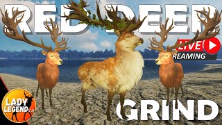 SETTING UP amp STARTING the Great One RED DEER GRIND  LIVE [upl. by Adnoloy848]