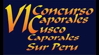 VI Concurso de Bloques Cusco 2017  Caporales Sur Peru [upl. by Yelrak]