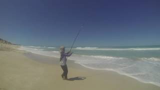 Mulloway fishing South Australia [upl. by Arykat]