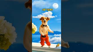 Pathor chapa buke nodi love song cutedog shortvideo [upl. by Vince]