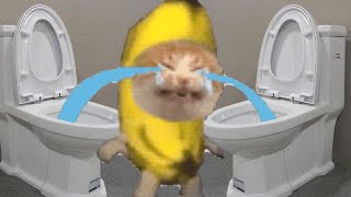 BANANA CAT 🐱 HAPPY AND 😿 CRY VIDEOS 4 catmemes cat bananacat happycat fyp [upl. by Fowle]