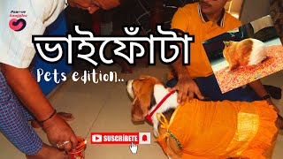 Bhai phota special with pets [upl. by Sucam]