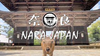 The Great Buddha of Nara Japan  Virtual Walking Tour  奈良の大仏・東大寺 [upl. by Boniface]