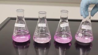 Titration Video [upl. by Modestia812]