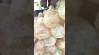 Fuchka  Golgappa  Puchka  Panipuri shorts streetfood youtubeshorts [upl. by Ahsein824]