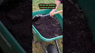 Spread Grass Seed amp Soil Fast  shorts soil maintenance lawn tips [upl. by Collis]