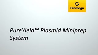 PureYield™ Plasmid Miniprep System [upl. by Khajeh]