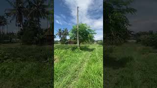 26 Lakh Land For sale at Dharan धरानमा सस्तो नम्बरी घडेरी Owner 9749491572 by Real Estate Nepal [upl. by Annerb]