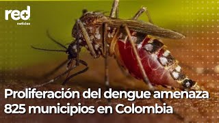 Fenómeno de El Niño prolifera el dengue en Colombia  Red [upl. by Damali]