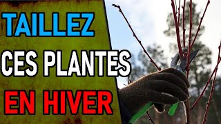 EN HIVER CES PLANTES à TAILLER ABSOLUMENT permaculture Ecologie Environnement [upl. by Lizzie]