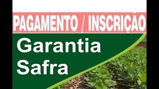 Garantia Safra 2024 Inscrições Pagamento Quem Tem Direito [upl. by Anej]