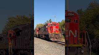 CN C408 leading [upl. by Nabois]