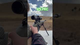 Practice proofresearch hornady sig [upl. by Erreid584]