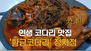 황금코다리 매콤달콤 밥도둑 코다리 조림 먹방집밥 먹방Braised halfdried pollock Mukbang [upl. by Zhang]