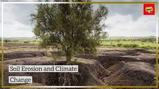 What is Soil Erosion and Why Is It Critical to Prevent [upl. by Kanal107]