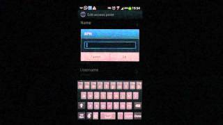 Android Internet APN Settings on Samsng Galaxy [upl. by Nylleoj]