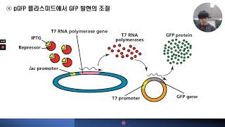 과학고 pGFP를 이용한 박테리아E coli 형질전환 실험을 통한 약물 남용 고찰 [upl. by Tessi322]