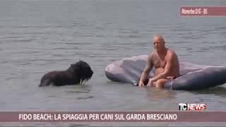 Fido beach la spiaggia per cani sul Garda bresciano [upl. by Roye]