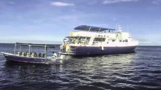 Adventure Buceo Live Aboard Diving [upl. by Namijneb535]