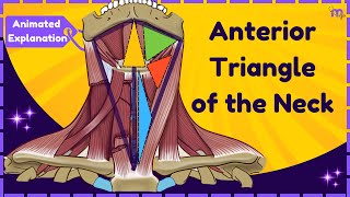 Anterior Triangle of the Neck  Boundaries  Subdivisions  Structures  Anatomy  Animated [upl. by Amliv]