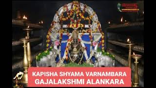 UDUPI SRI KRISHNA IN KAPISHA SHYAMA VARNAMBARA GAJALAKSHMI ALANKARA AARADHANAI [upl. by Natassia]