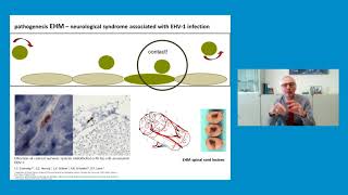 Equine Herpes Virus can we defeat a uniquely challenging foe  Lutz Goehring [upl. by Rudolph]