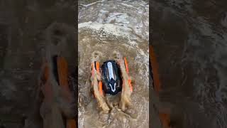 RC Amphibious Car In Water [upl. by Enyala]