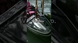 Venice Italy A Tourists Guide [upl. by Balkin]