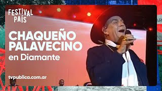 El Chaqueño Palavecino en Diamante  Festival País 2023 [upl. by Leisha]