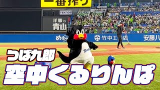 今シーズンもありがとう！つば九郎空中くるりんぱ｜2024年10月3日 広島戦（神宮球場） [upl. by Seda660]