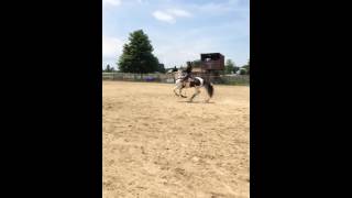 Barrel racing a completely blind horse [upl. by Schmidt]