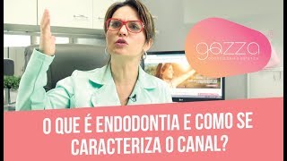 O que é endodontia e como se caracteriza o canal [upl. by Ysle501]