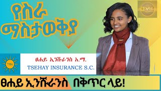 Ethiojob vacancy 2023 today  Tsehay Insurance SC job vacancy  የስራ ቦታ ማስታወቂያ ከፀሐይ ኢንሹራንስ አማ [upl. by Colinson]