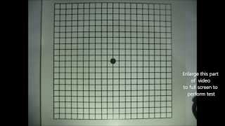 Amsler Grid Test Home Vision Test [upl. by Richter935]