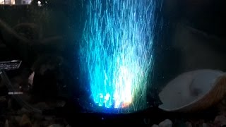 GBGS LED Fishtank Airstone Review [upl. by Nameloc]